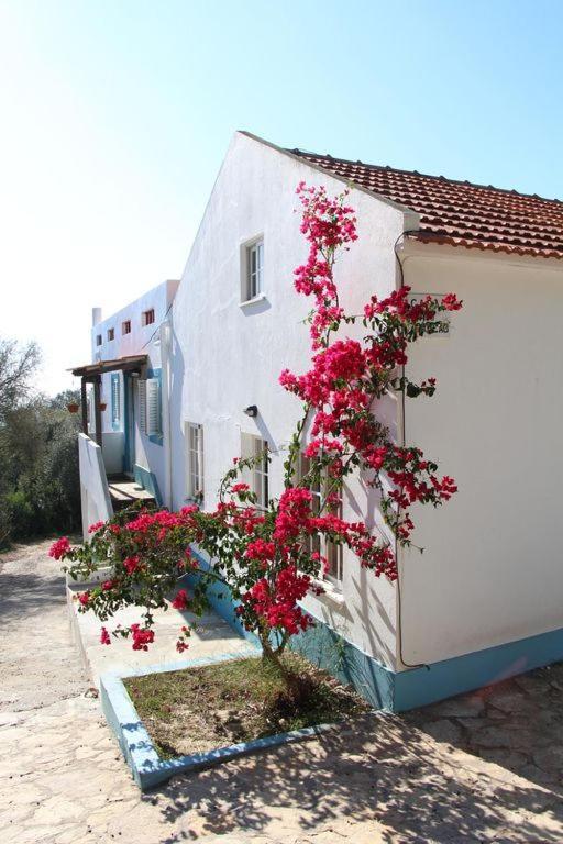 Casa Do Avo Teixeira Villa Sesimbra Buitenkant foto