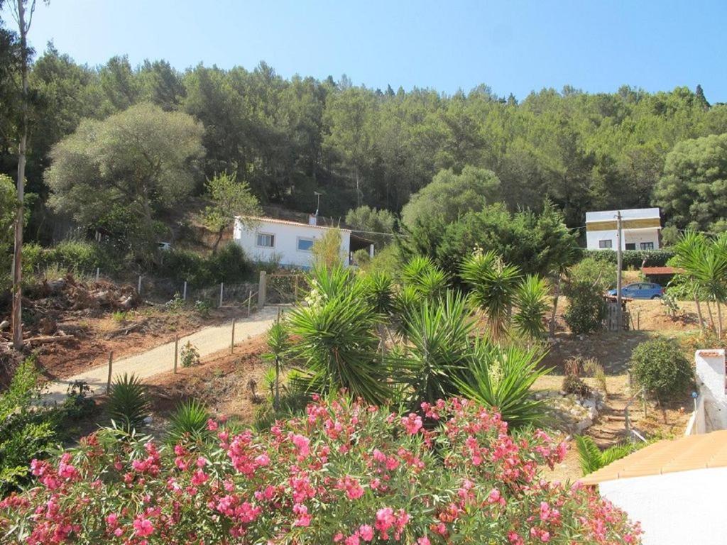 Casa Do Avo Teixeira Villa Sesimbra Buitenkant foto